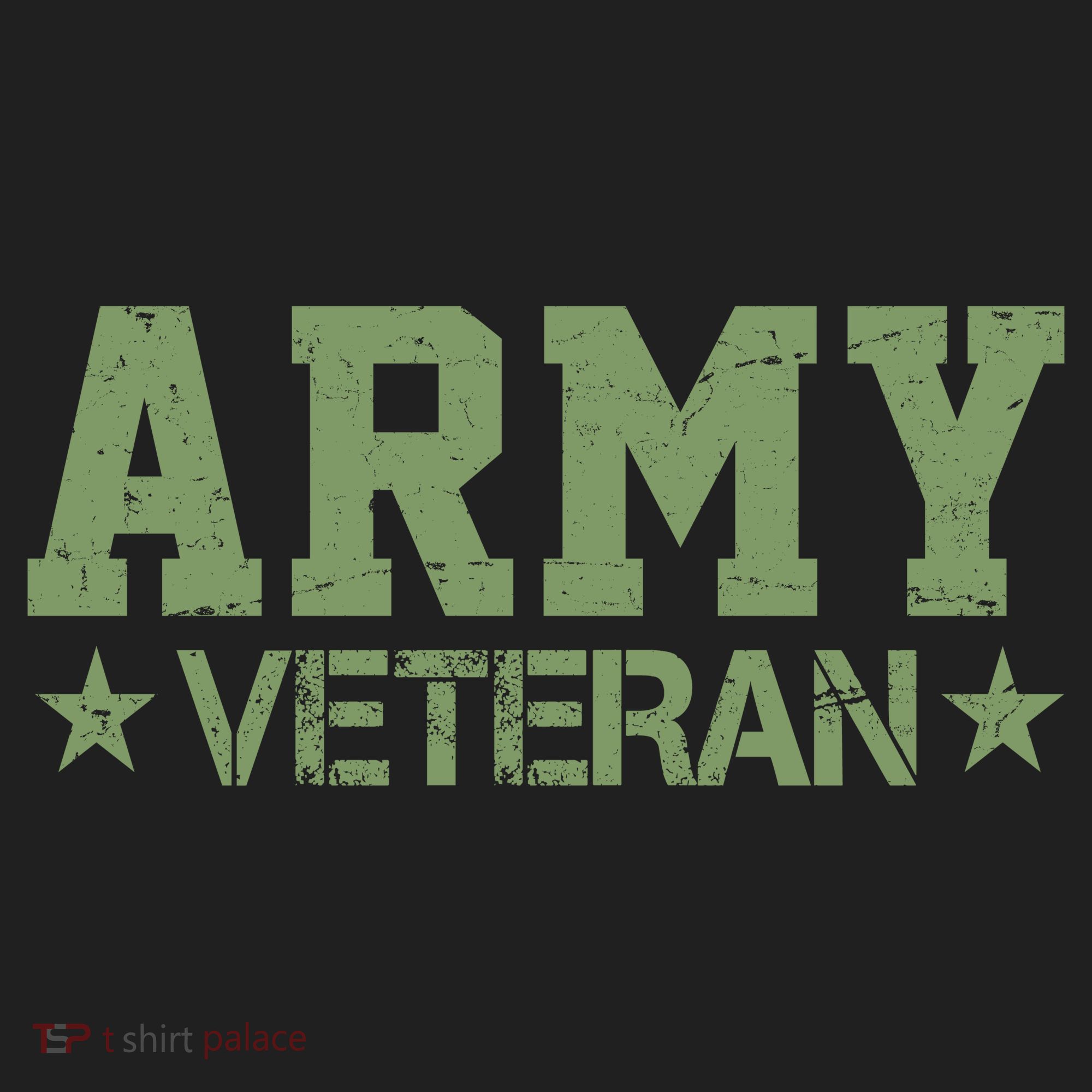 Army Veteran Distress Logo Beanie