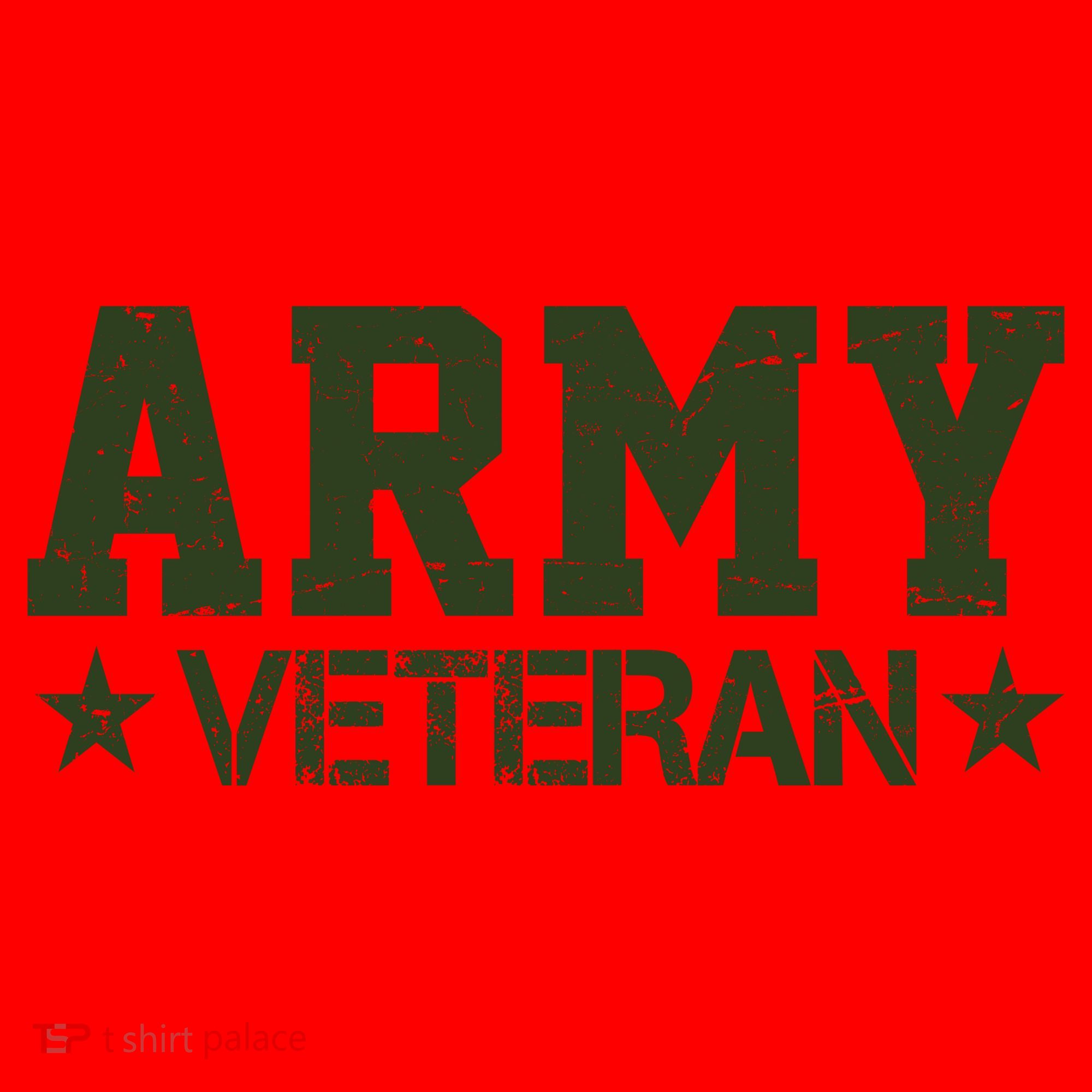 Army Veteran Distress Logo Santa Hat