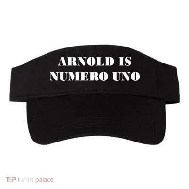 Visor
