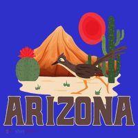 Arizona Roadrunner Retro Boho Desert Cactus Tumbler thumb 3