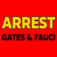 Arrest Gates And Fauci Santa Hat thumb 1