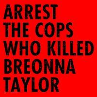 Arrest The Cops Who Killed Breonna Taylor BLM Santa Hat thumb 1
