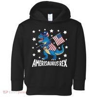 Amerisaurus Rex T Rex Dinosaur American Flag USA 4th Of July Toddler Hoodie thumb 0