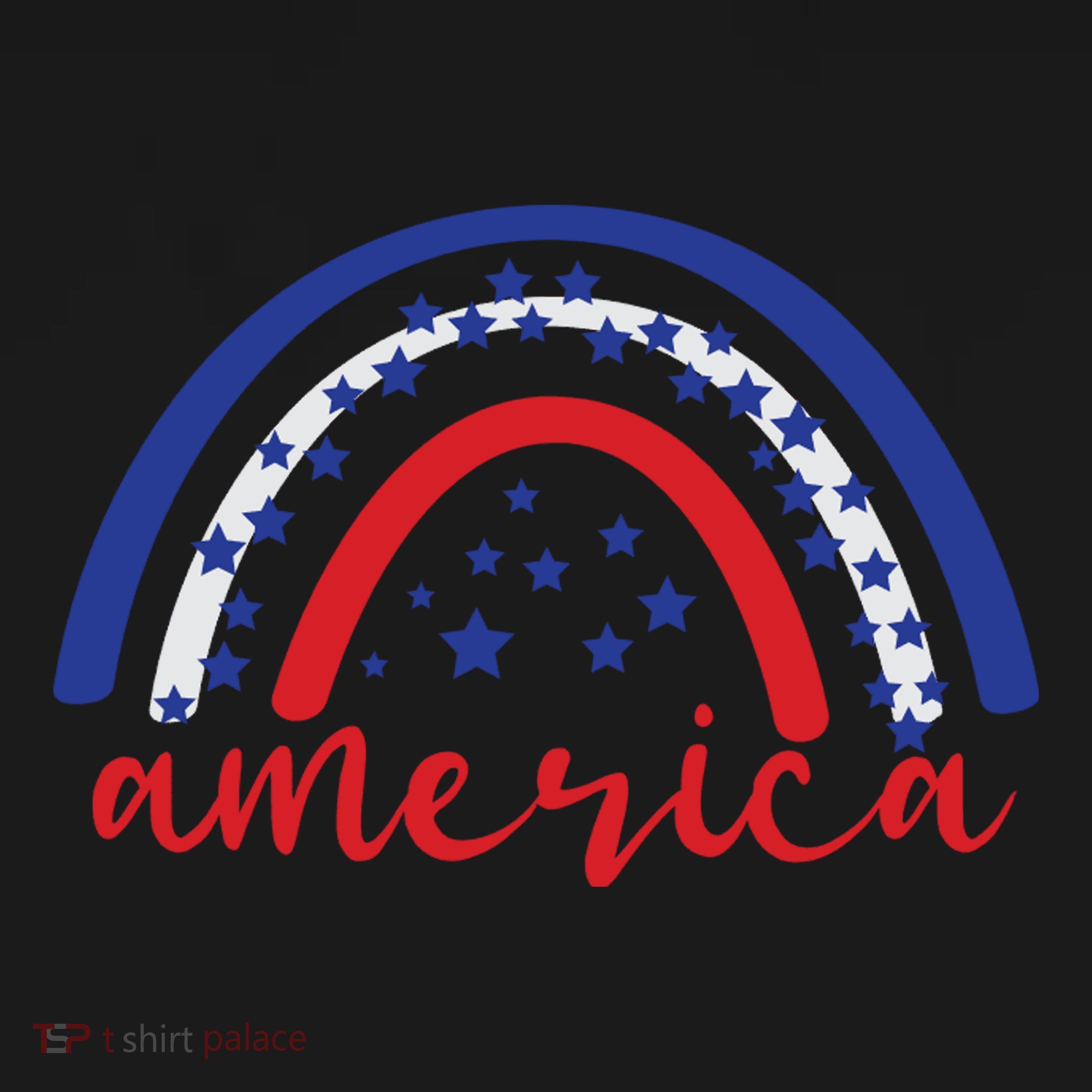 America Rainbow USA Toddler Hoodie