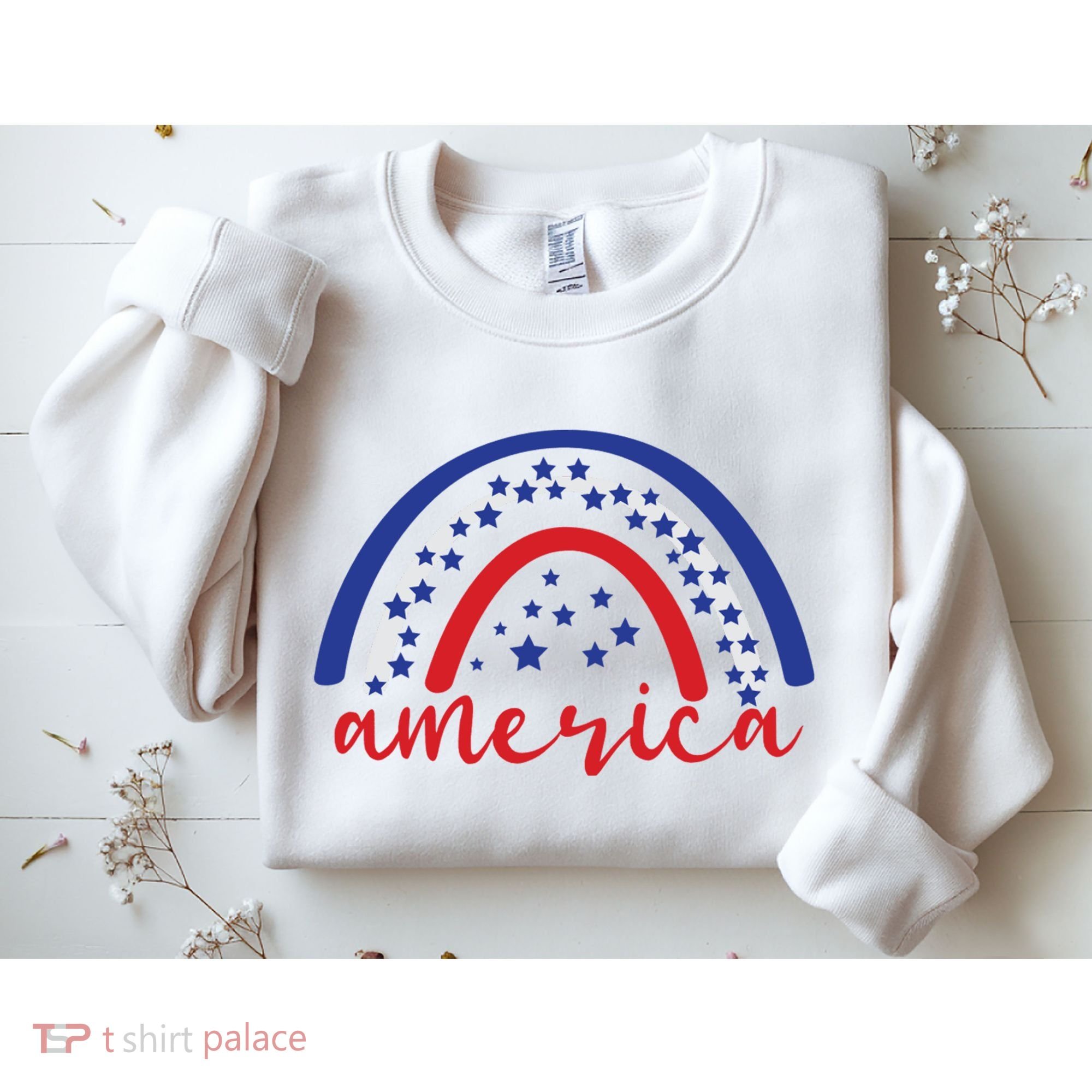 America Rainbow USA Sweatshirt