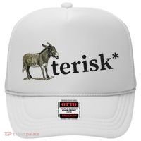 Asterisk Reader Writer Hat thumb 0