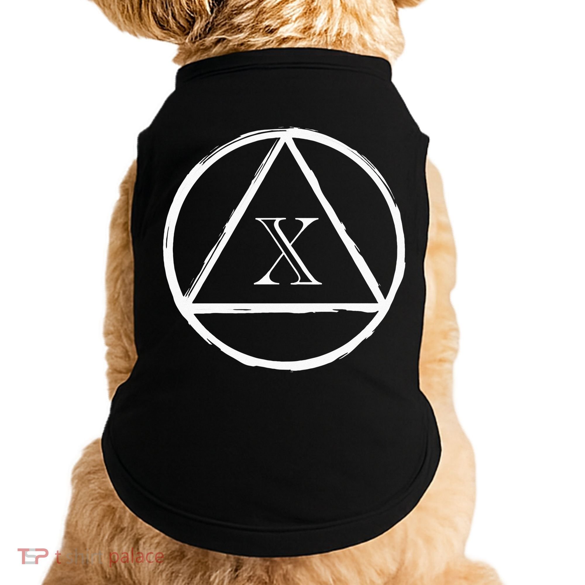 AA Sobriety 10 Yr Abstinence 10 Years Sober Anniversary Gift Doggie Tank