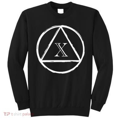 AA Sobriety 10 Yr Abstinence 10 Years Sober Anniversary Gift Sweatshirt
