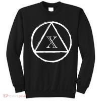 AA Sobriety 10 Yr Abstinence 10 Years Sober Anniversary Gift Sweatshirt thumb 0