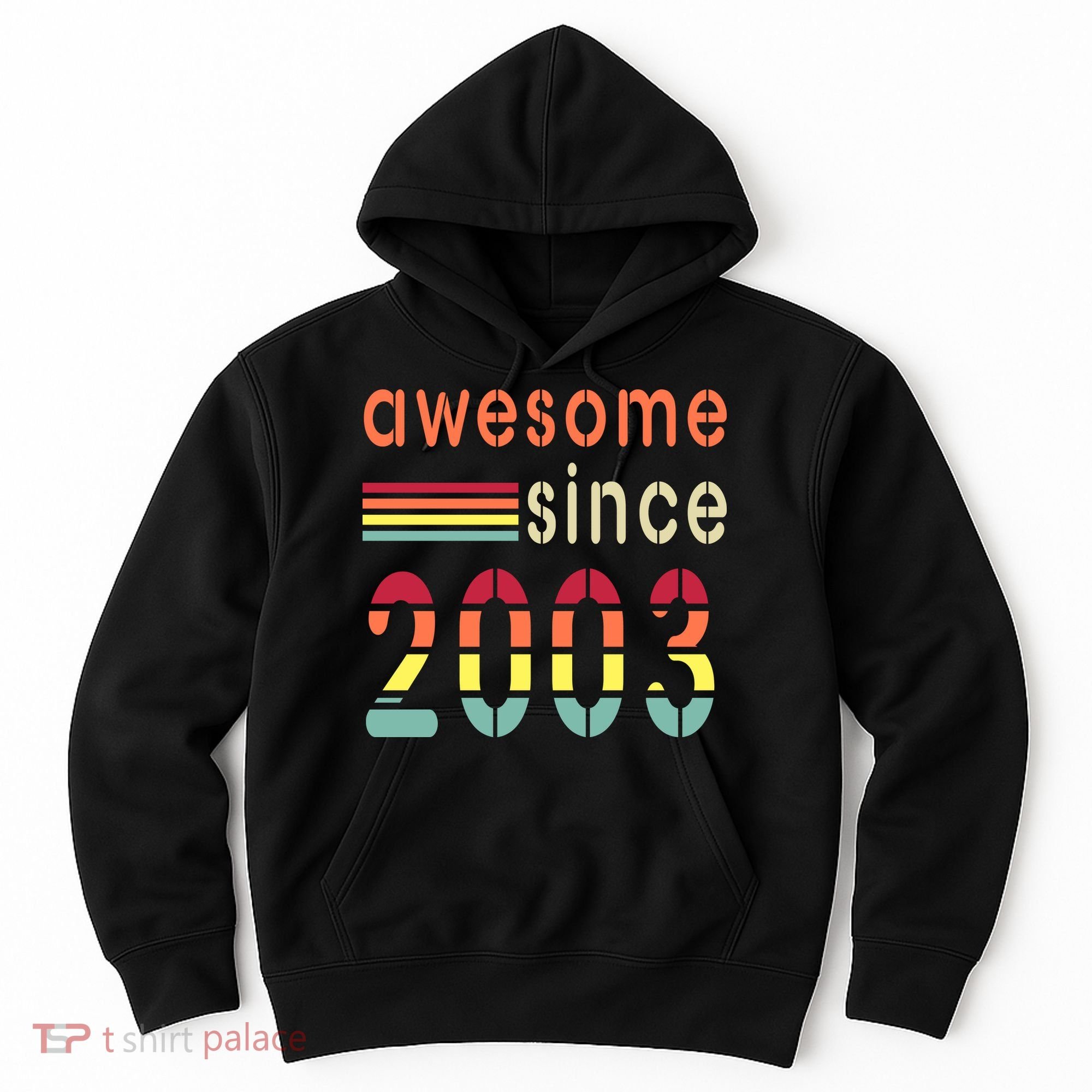 Awesome Since 2003 Birthday Retro Cool Gift Hoodie