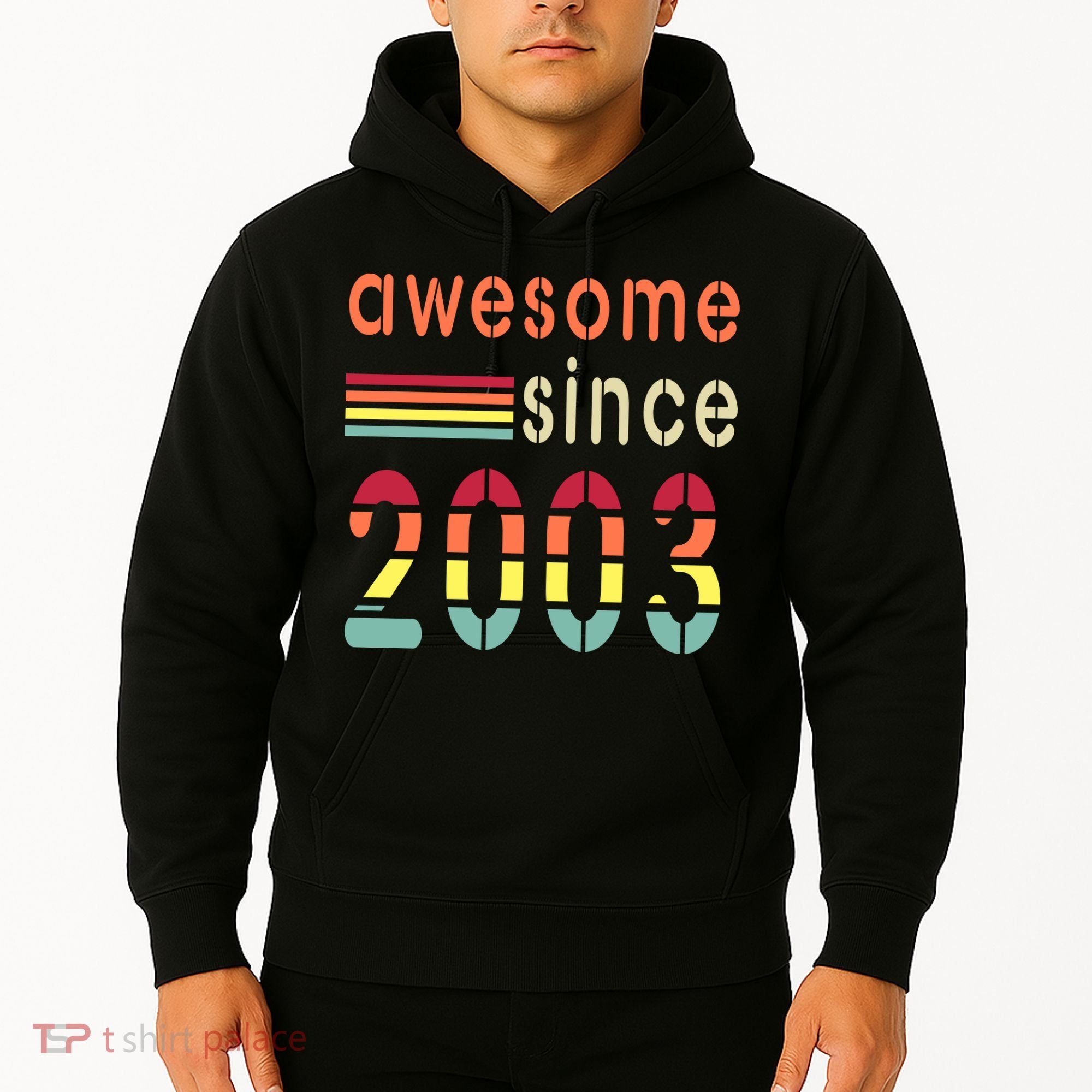 Awesome Since 2003 Birthday Retro Cool Gift Hoodie