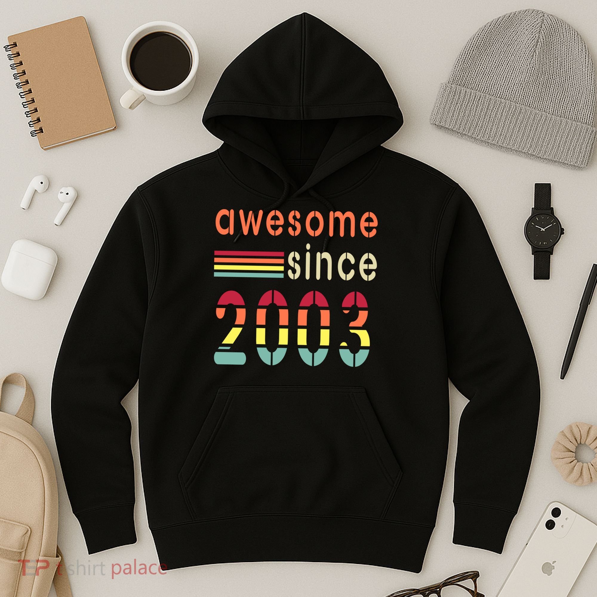Awesome Since 2003 Birthday Retro Cool Gift Hoodie