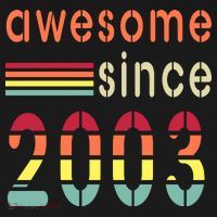 Awesome Since 2003 Birthday Retro Cool Gift Apron thumb 3