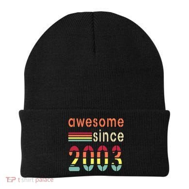Awesome Since 2003 Birthday Retro Cool Gift Beanie