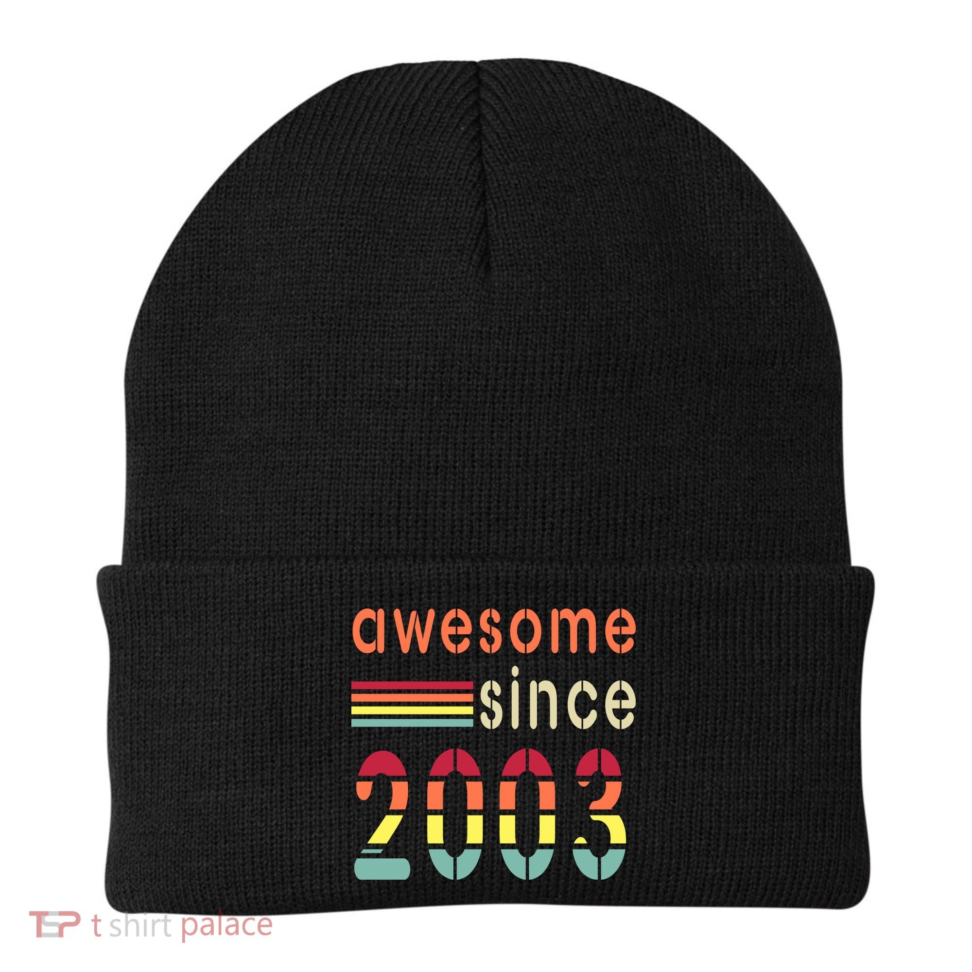 Awesome Since 2003 Birthday Retro Cool Gift Beanie