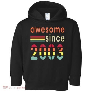 Awesome Since 2003 Birthday Retro Cool Gift Toddler Hoodie