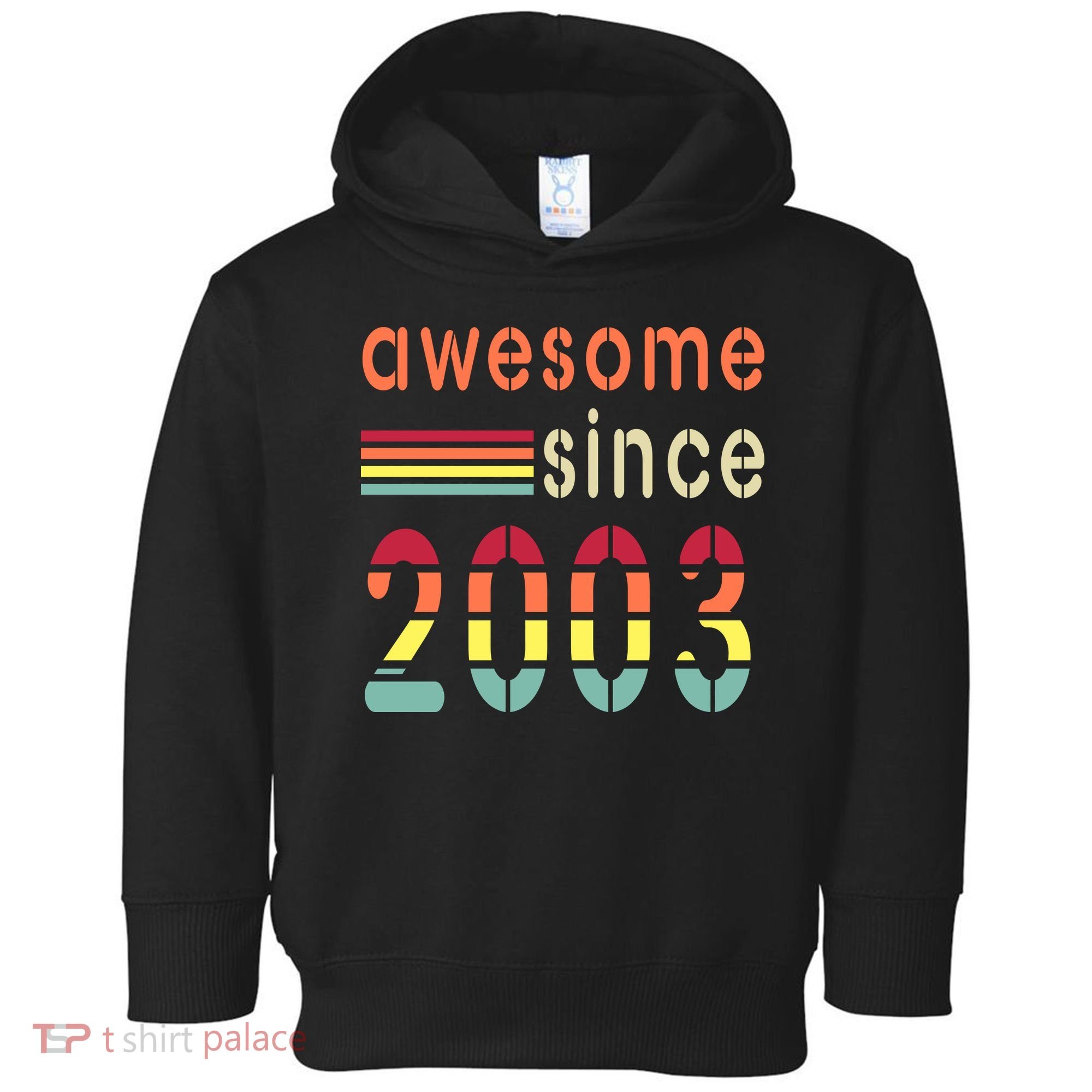 Awesome Since 2003 Birthday Retro Cool Gift Toddler Hoodie