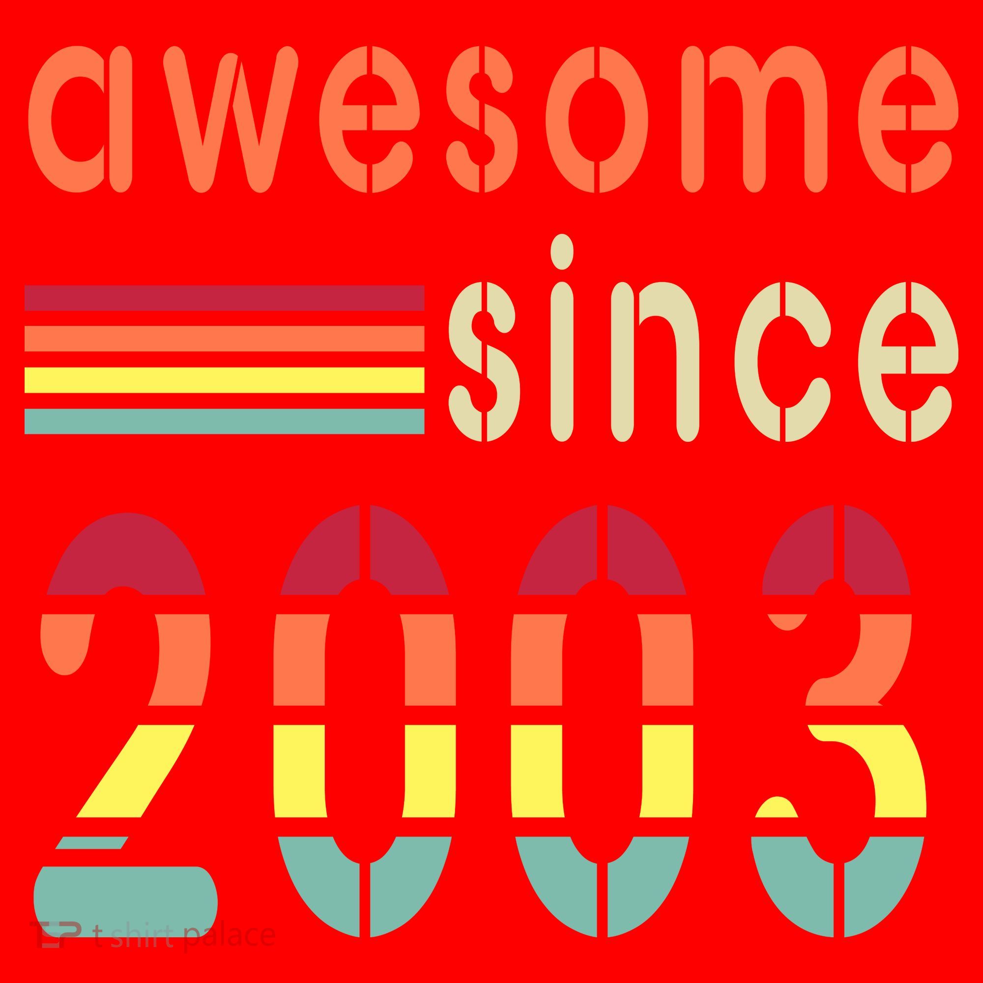 Awesome Since 2003 Birthday Retro Cool Gift Santa Hat
