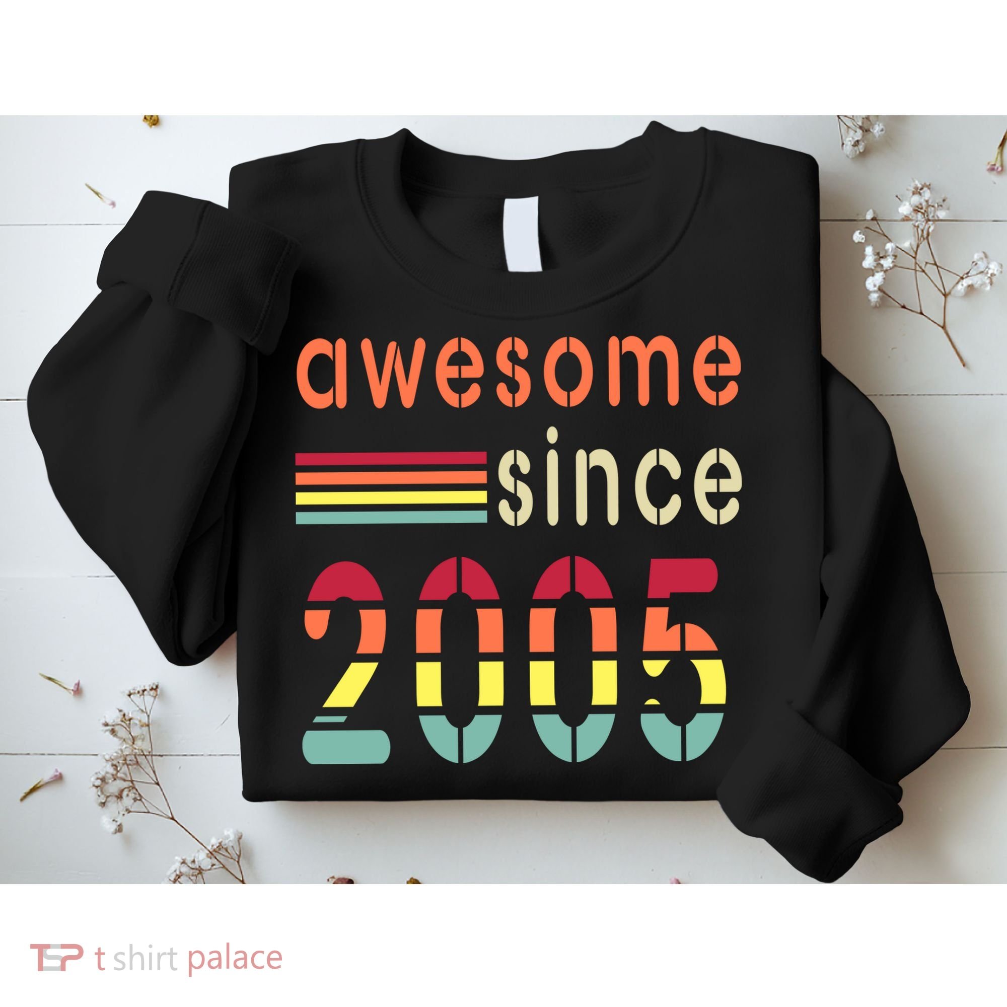 Awesome Since 2005 Birthday Retro Cool Gift Sweatshirt