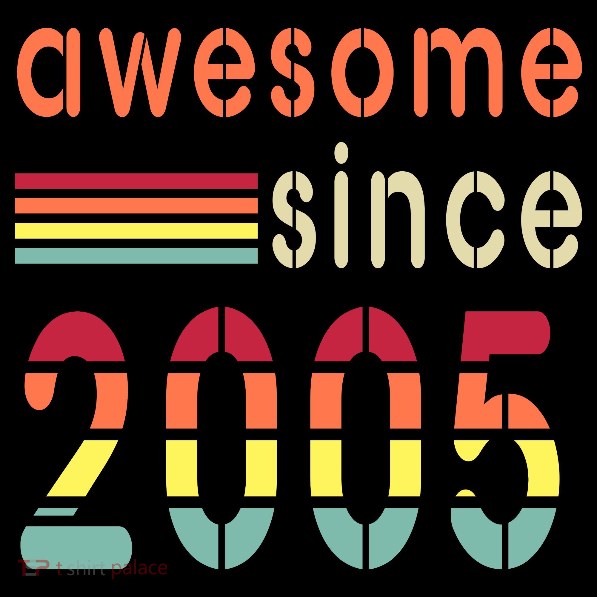 Awesome Since 2005 Birthday Retro Cool Gift Women's T-Shirt