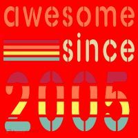 Awesome Since 2005 Birthday Retro Cool Gift Santa Hat thumb 1