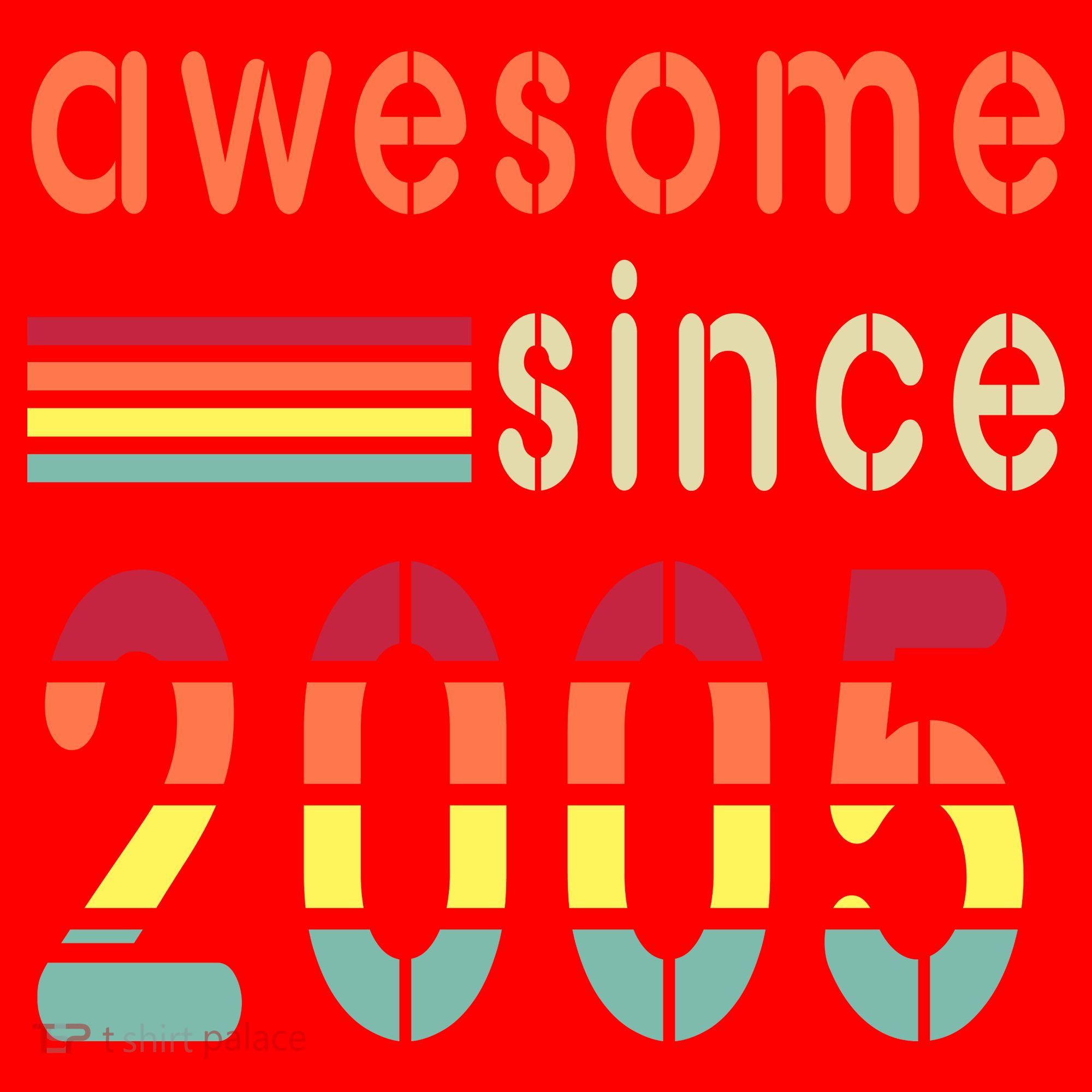 Awesome Since 2005 Birthday Retro Cool Gift Santa Hat