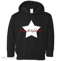 America Star 4th Of July Celebration Toddler Hoodie thumb 0
