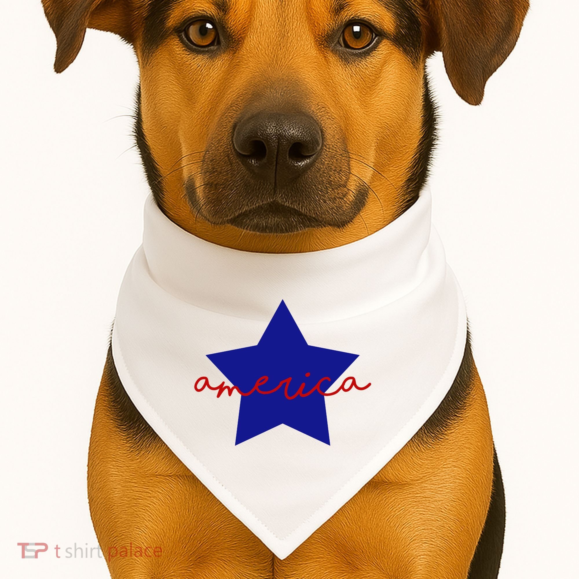 America Star 4th Of July Celebration USA-Made Doggie Bandana