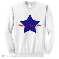 America Star 4th Of July Celebration Sweatshirt thumb 0