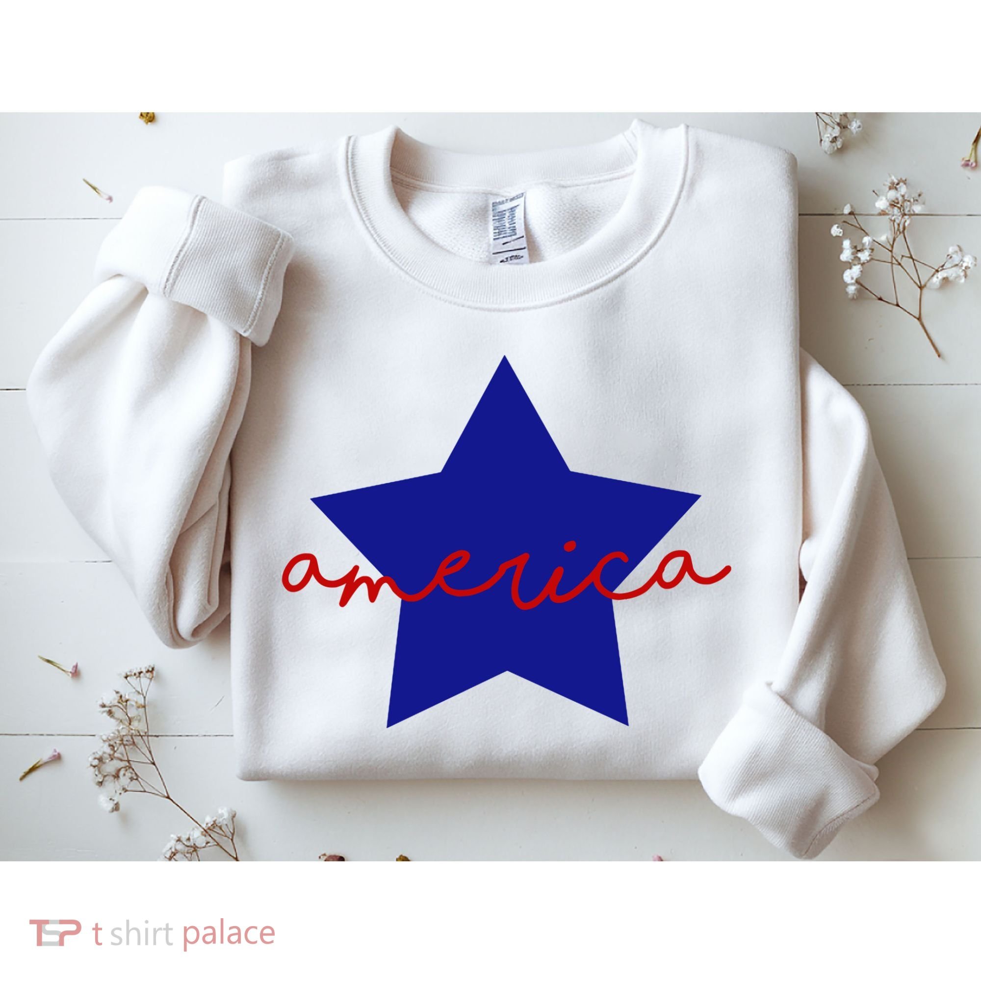 America Star 4th Of July Celebration Sweatshirt
