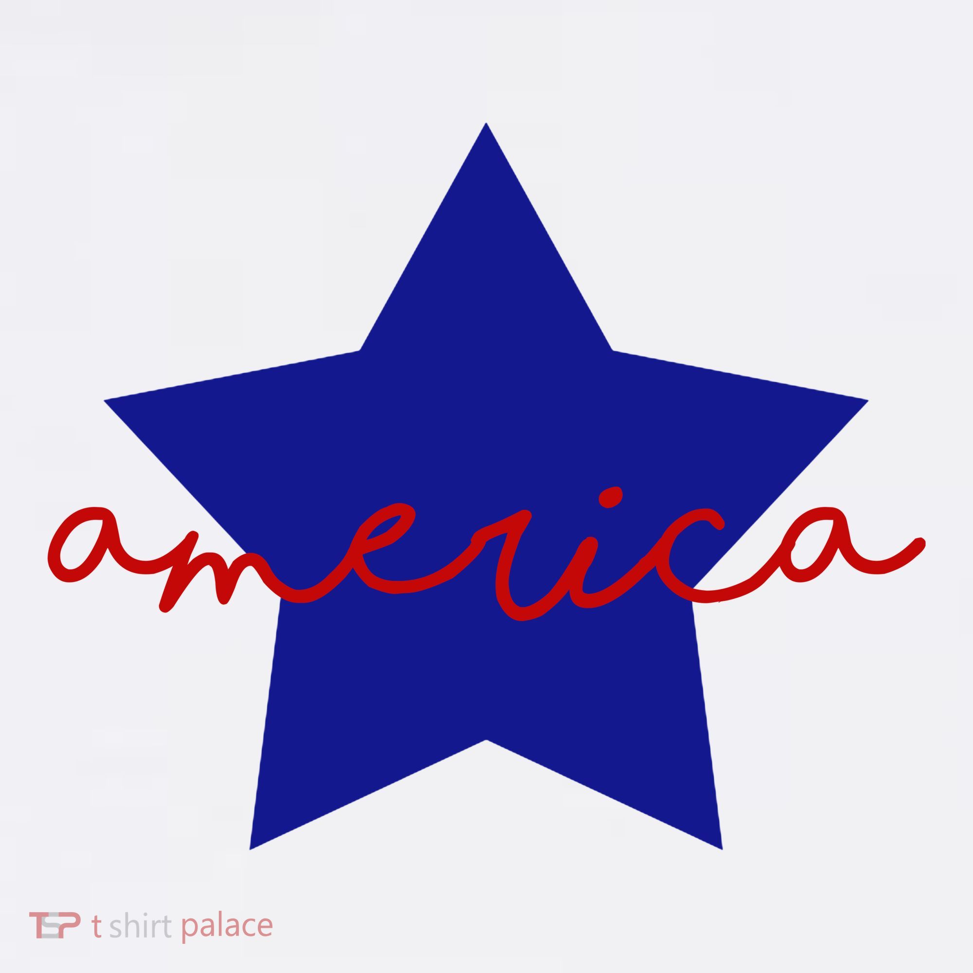 America Star 4th Of July Celebration Sweatshirt