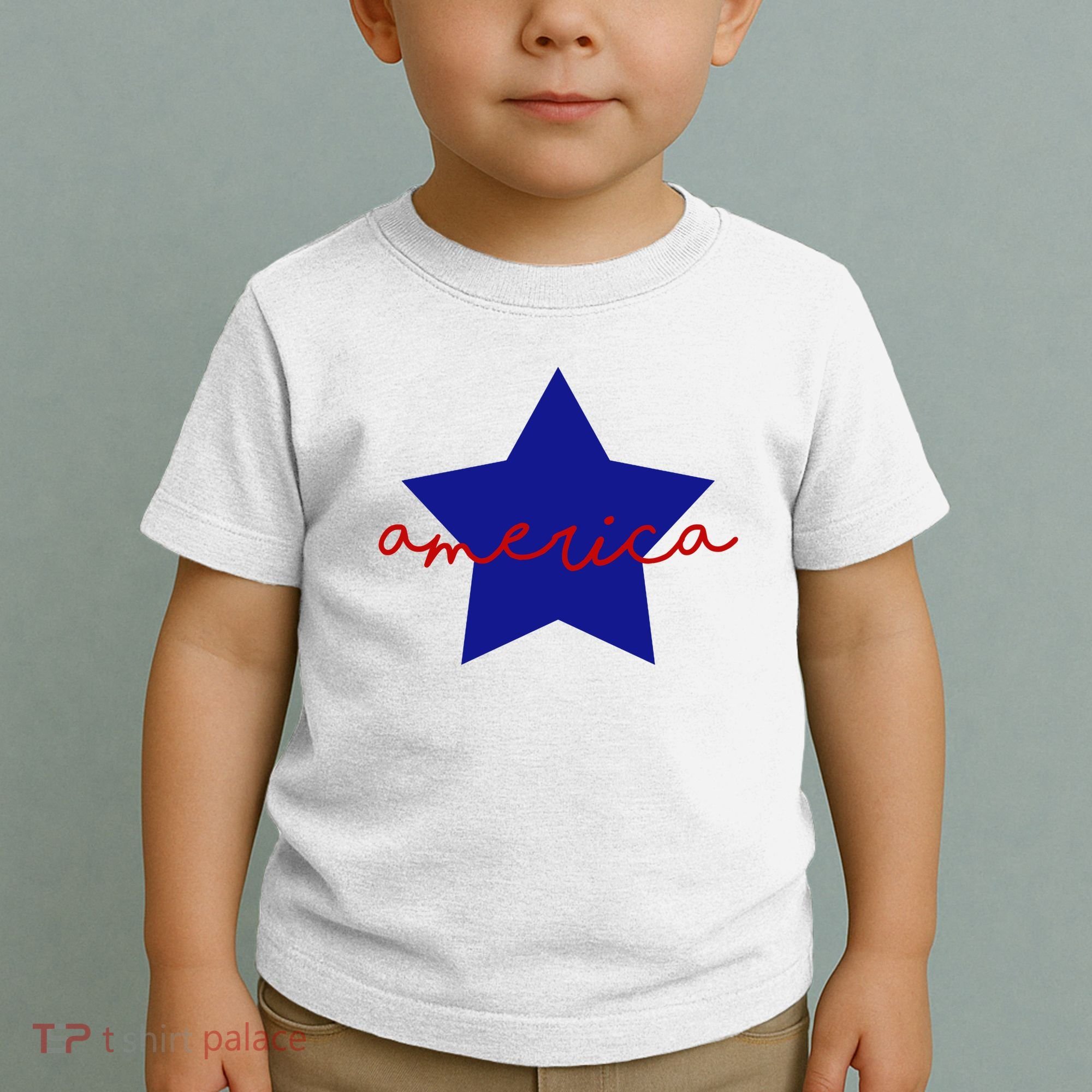 America Star 4th Of July Celebration Toddler T-Shirt