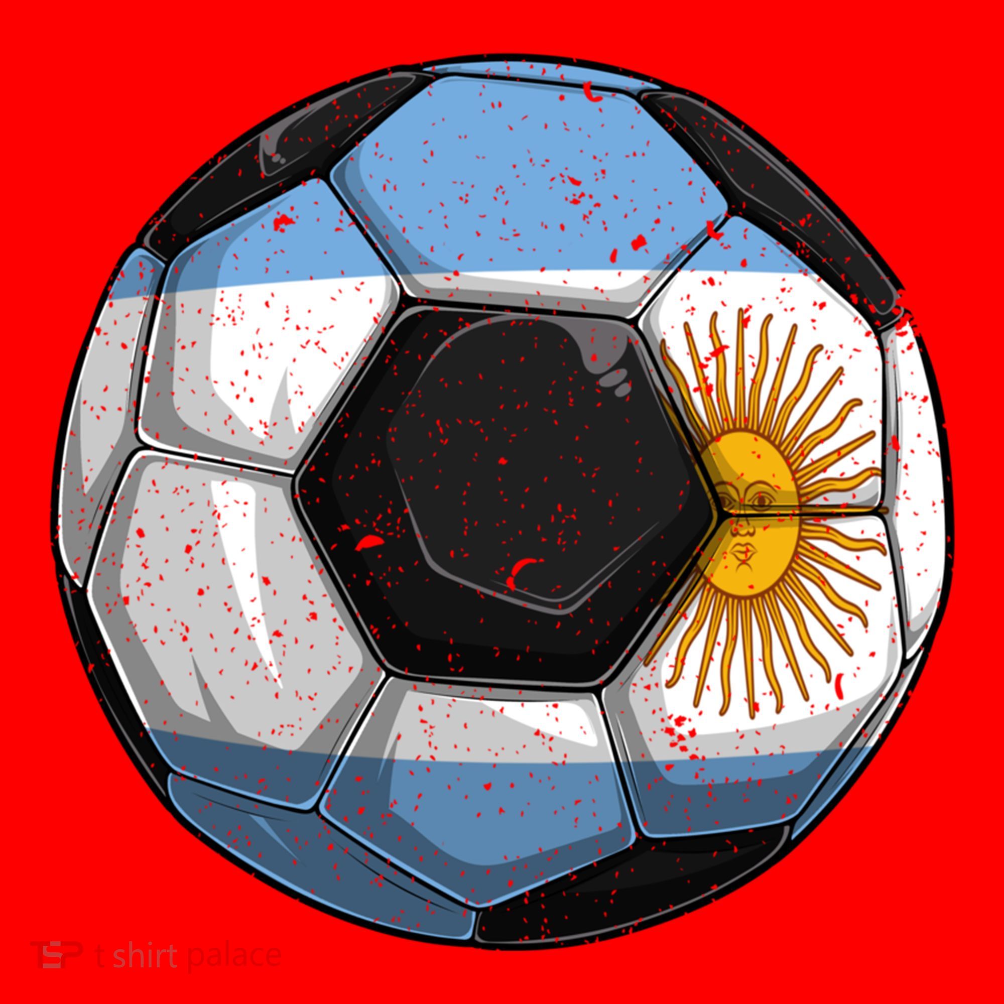 Argentina Soccer Argentina Flag Argentinian Boys Gift Santa Hat