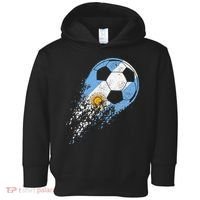 Argentina Soccer Argentinian Flag Pride Soccer Player Toddler Hoodie thumb 0