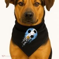 Argentina Soccer Argentinian Flag Pride Soccer Player USA-Made Doggie Bandana thumb 1