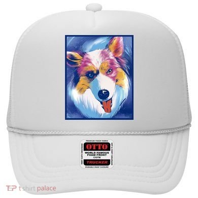 Australian Shepherd Colorful Dog Hat