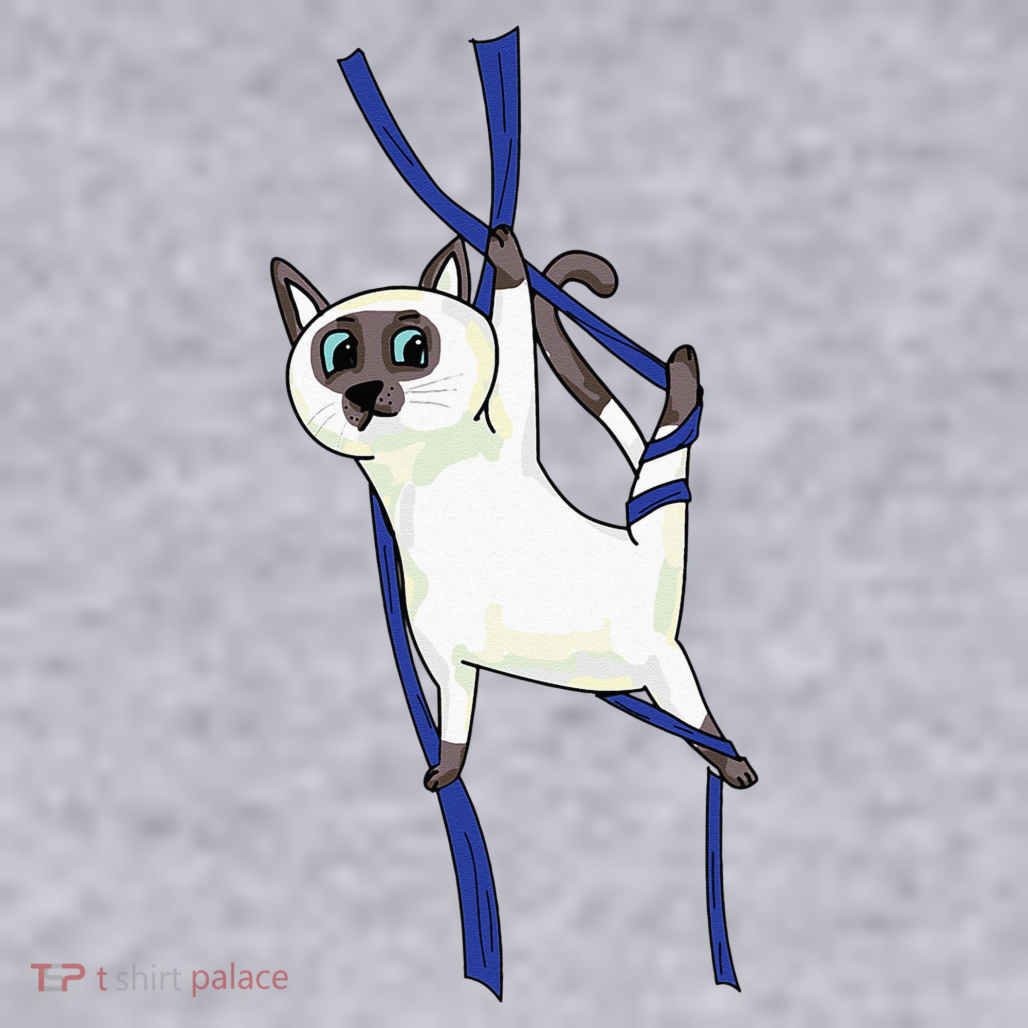 Aerial Silks Dancer Aerialist Air Yoga Acrobatics Cat Funny Women's Sweatshirt