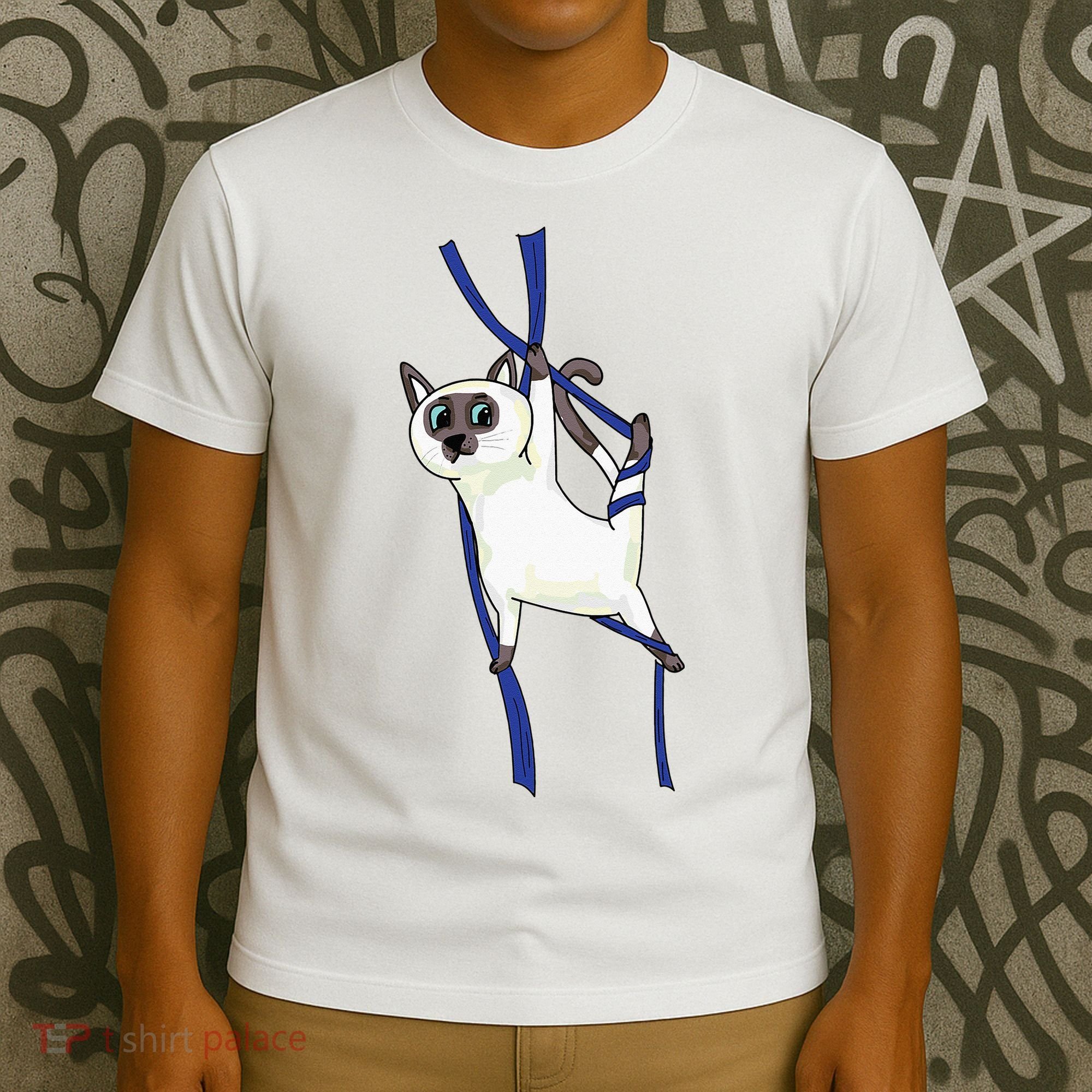Aerial Silks Dancer Aerialist Air Yoga Acrobatics Cat Funny T-Shirt