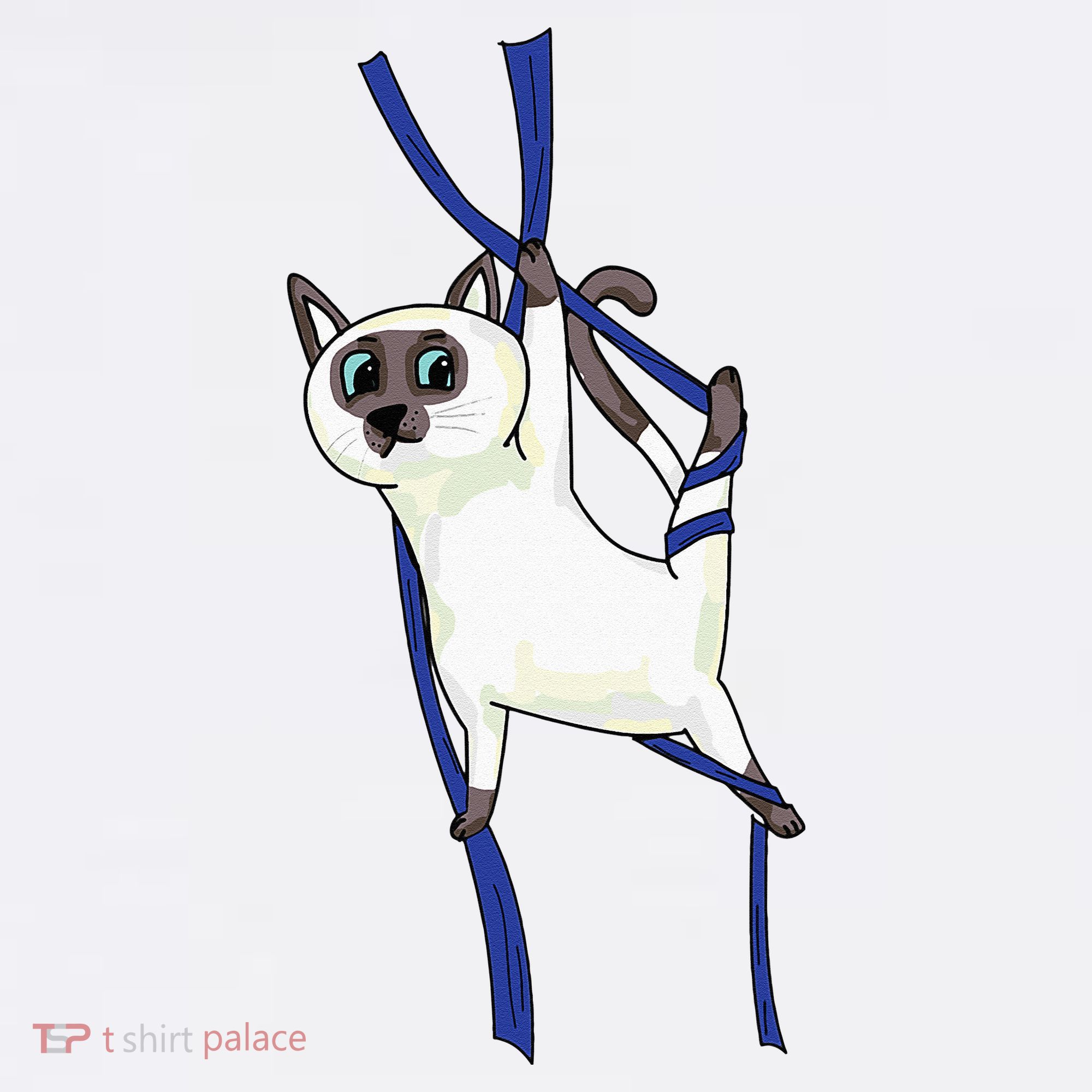 Aerial Silks Dancer Aerialist Air Yoga Acrobatics Cat Funny Women's Tank Top