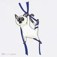 Aerial Silks Dancer Aerialist Air Yoga Acrobatics Cat Funny Kids Sweatshirt thumb 2