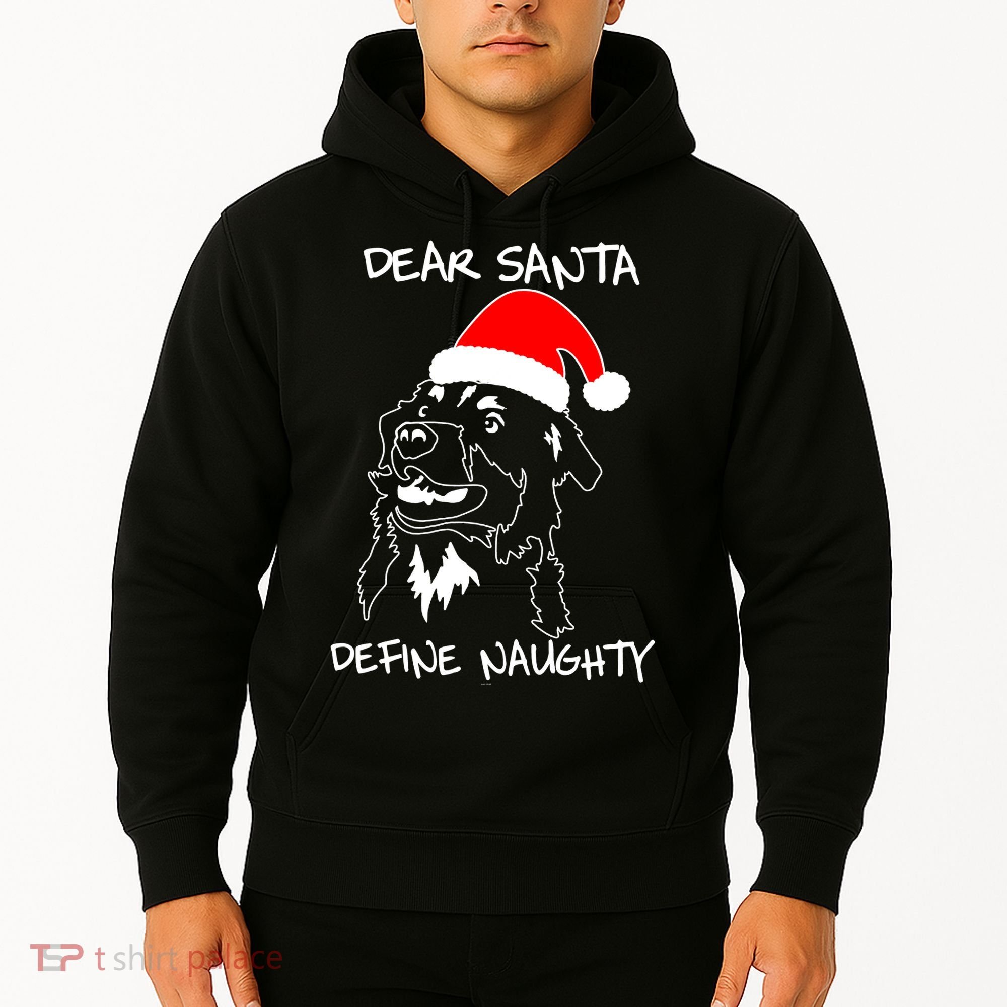 Australian Shepherd Dear Stanta Define Naughty Xmas Dog Lovers Christmas Hoodie