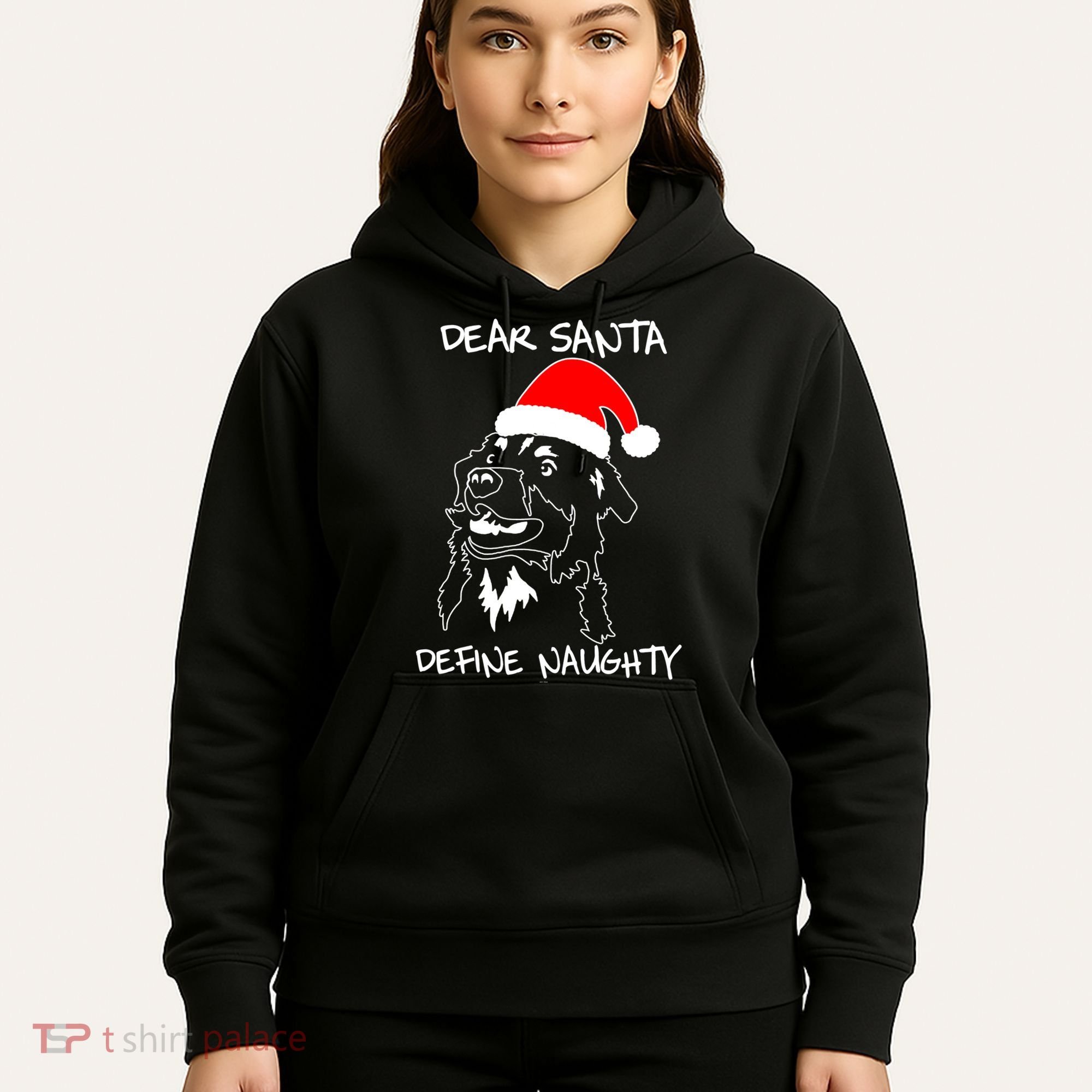Australian Shepherd Dear Stanta Define Naughty Xmas Dog Lovers Christmas Hoodie