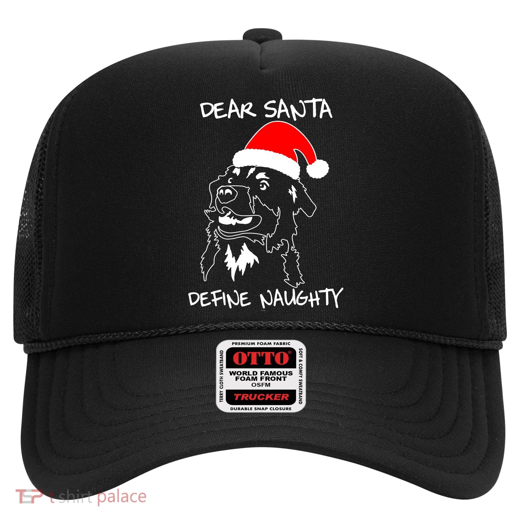 Australian Shepherd Dear Stanta Define Naughty Xmas Dog Lovers Christmas Hat