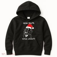 Australian Shepherd Dear Stanta Define Naughty Xmas Dog Lovers Christmas Kids Hoodie thumb 0