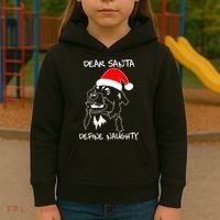 Australian Shepherd Dear Stanta Define Naughty Xmas Dog Lovers Christmas Kids Hoodie thumb 3