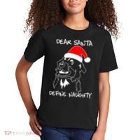 Australian Shepherd Dear Stanta Define Naughty Xmas Dog Lovers Christmas Kids T-Shirt thumb 2
