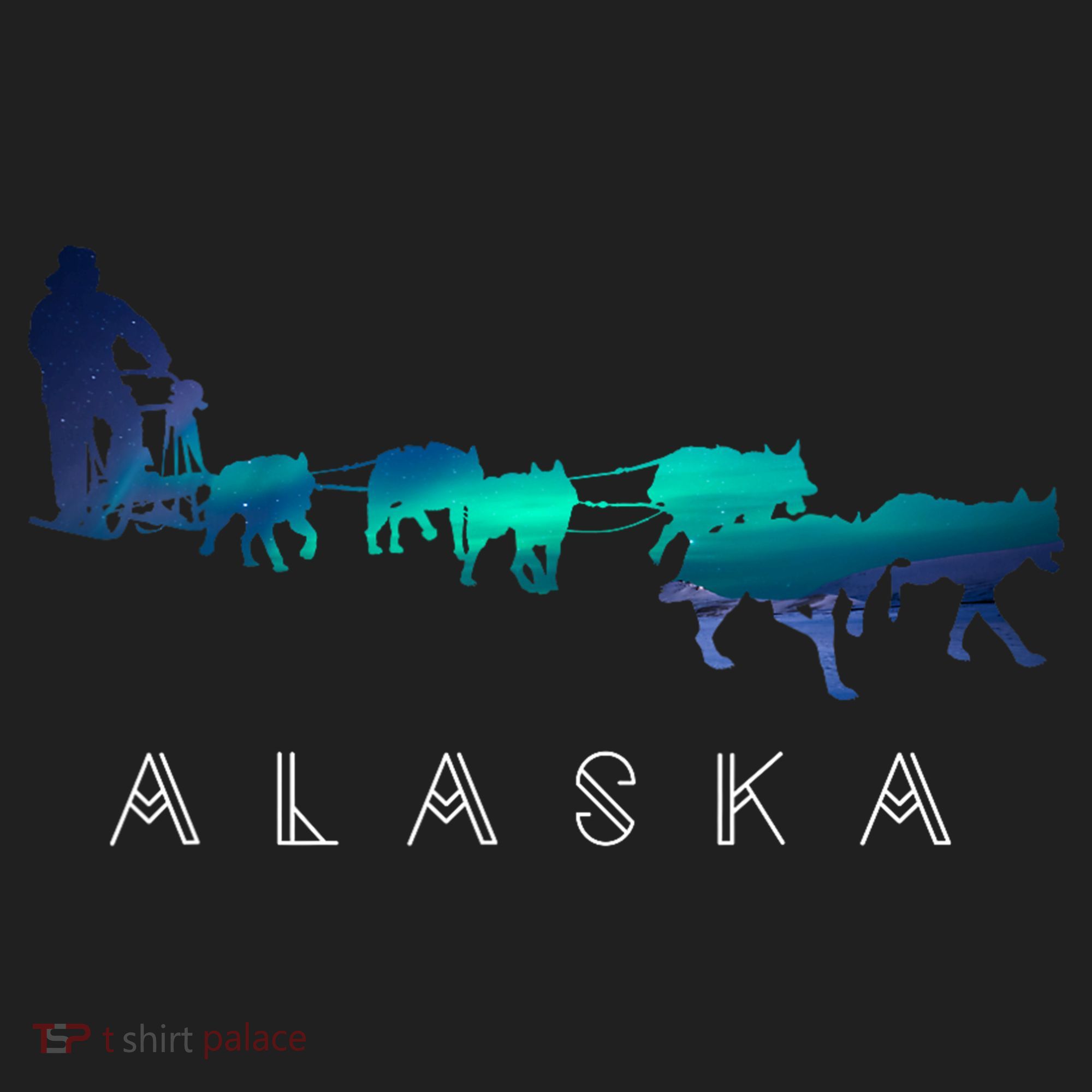 Alaska Sled Dogs Mushing Sled Dog Team A.U.R.O.R.A Borealis Scene Tumbler