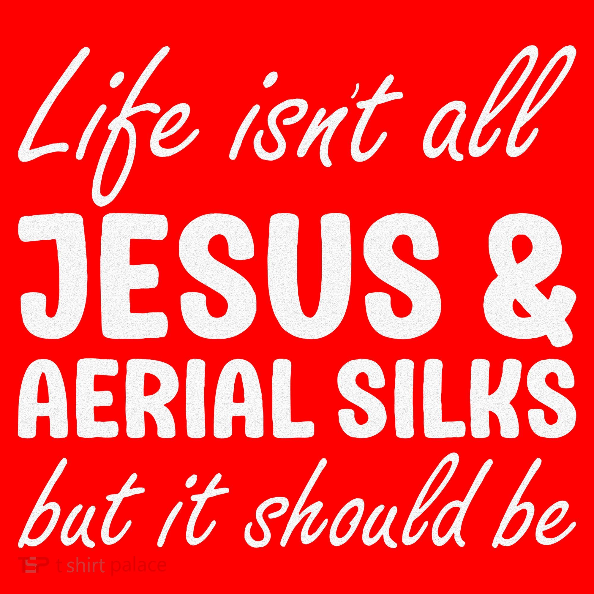 Aerial Silks for or Women I Love Aerial Silks Hobby Santa Hat