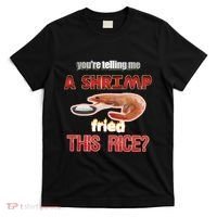 A Shrimp Fried This Rice Tastefully Misinterpreted Dank Meme T-Shirt thumb 0