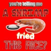 A Shrimp Fried This Rice Tastefully Misinterpreted Dank Meme Santa Hat thumb 1